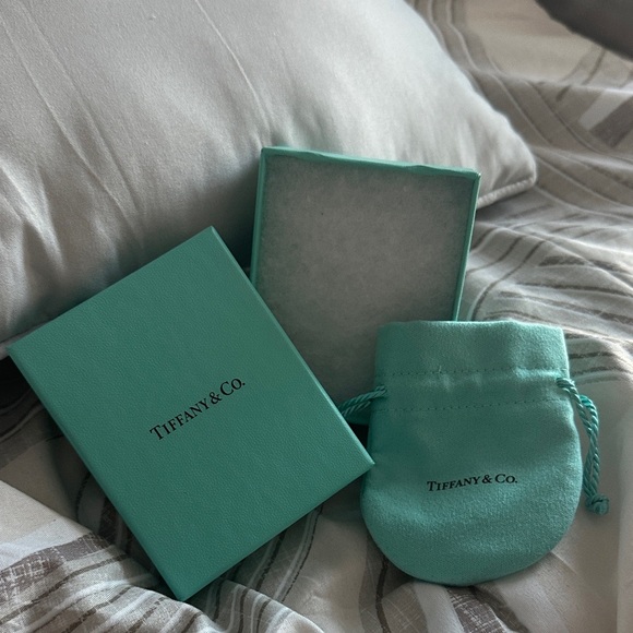 Tiffany & Co. Turquoise Gift Box with Pouch (Authentic) - Picture 4 of 4